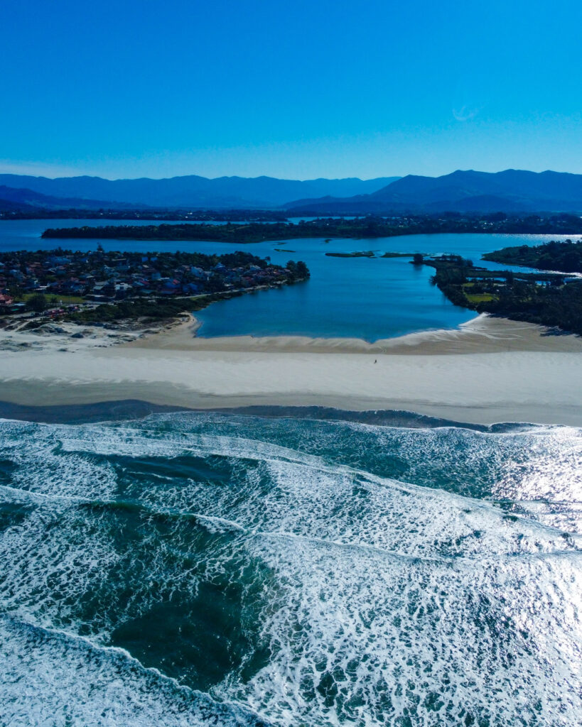 La Ballena Franca Austral y su Área de Protección Ambiental